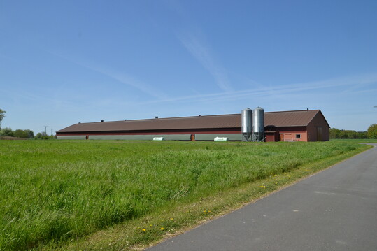 Der Betrieb Hauser in Rheda-Wiedenbrck wird in fnfter Generation betrieben.Am Hof gibt es vier Putenstlle, hier der neueste, 2011 gebaute Stall fr 6.500 Tiere. Der Aufzuchtstall befindet sich auf einem separaten Standort.