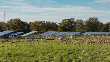 Der Verband fr nachhaltige Agri-PV (VnAP) fordert weitere Regelungen fr Agri-Photovoltaik-Anlagen mit Tierhaltung.