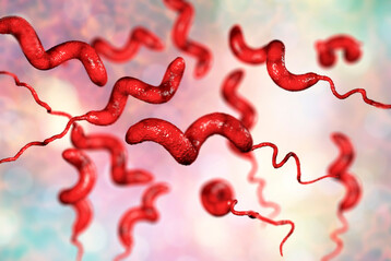 Menschen infizieren sich hauptschlich durch den Verzehr kontaminierter Speisen, aber nur selten durch den Kontakt mit infizierten Tieren oder Menschen, mit dem Erreger Campylobacter. 