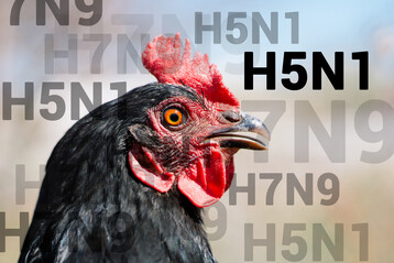 Prof. Harald Renz betont im Interview die Notwendigkeit eines intensiven Monitorings und gezielter Schutzmanahmen zur Eindmmung der Vogelgrippe in den USA.