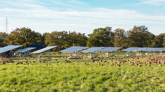 Fr die Erreichung der PV-Ausbauziele bis zum Jahr 2030 wird in sterreich ein Flchenbedarf (Dach- und Freiflchen) von 13.000 ha angenommen. 