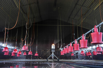 Der ProCleaner P200 des dnischen Herstellers Washpower im Einsatz auf dem Betrieb von Stefan Daries.