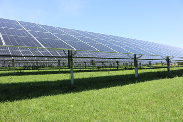 In der EU ist es jetzt erlaubt, Solarpanels auf den Auslaufflchen von Hhnern zu installieren, wenn die zustndige Behrde dies genehmigt.
