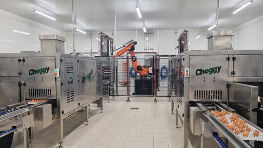 Die deutsche Technologie Cheggy wird erstmals in Brtereien in den USA eingesetzt werden. 