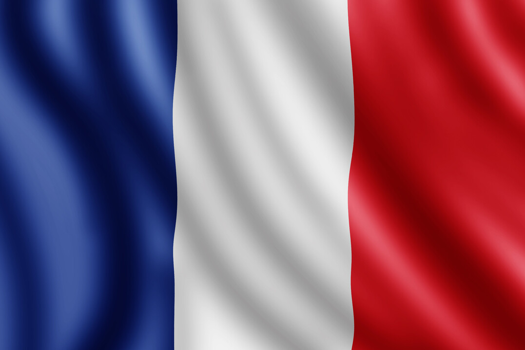 Viele AI-Ausbrche ereigneten sich in Frankreich vor allem im Sdwesten des Landes, wo die Entenzucht fr die Stopfleberindustrie angesiedelt ist.