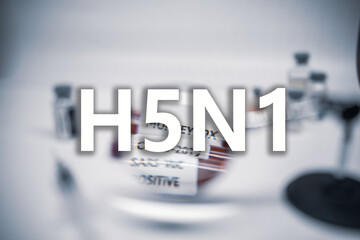 In Washington haben sich Arbeiter eines Geflgelbetriebs vermutlich mit HPAI H5N1 infiziert.