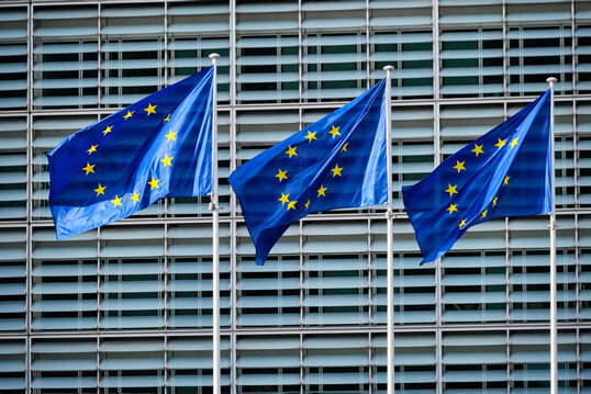 Frankreich und Spanien fordern von der EU-Kommission verstrkte Manahmen und koordinierte Impfprogramme zur Bekmpfung von Tierseuchen.