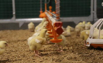 Aud der Erfassung der Futter- und Wasseraufnahme knnen wichtige Rckschlsse auf die Tiergesundheit gezogen werden.