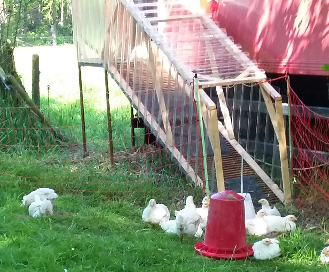 einem Ausgang mit Jalousie und Rampe.