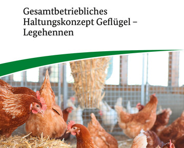 Die Broschre bietet Lsungsanstze und Planungsbeispiele fr eine zukunftsfhige Legehennenhaltung. 