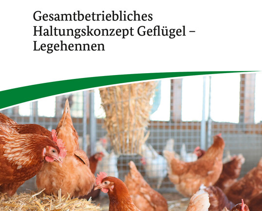 Die Broschre bietet Lsungsanstze und Planungsbeispiele fr eine zukunftsfhige Legehennenhaltung. 
