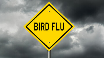 In Ungarn traten in den vergangenen Wochen vermehrt Flle der hochpathogenen Aviren Influenza auf. 