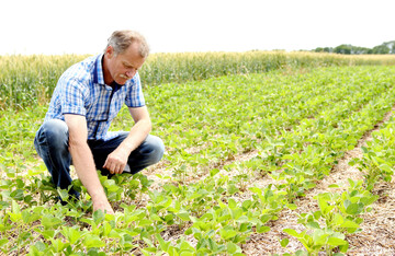 Ein Landwirt bzw. eine Landwirtin ernhrte in Deutschland laut der jngsten Erhebungen 147 Personen  und das allein mit deutschen Erzeugnissen.