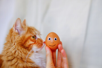 Eier knnen die Symptome eines Katers lindern und Heihunger bekmpfen.