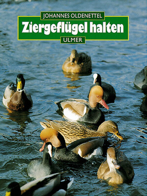 Ziergeflgel halten