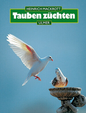 Tauben zchten