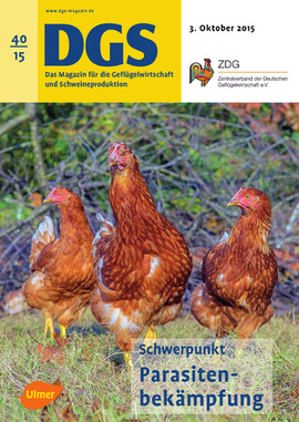 Cover DGS 40/2015