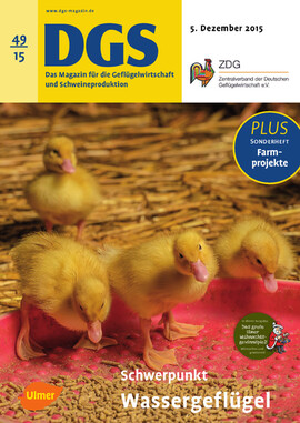 Cover DGS 49/2015