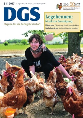Cover DGS 31/2017