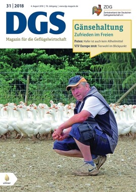 Cover DGS 31/2018