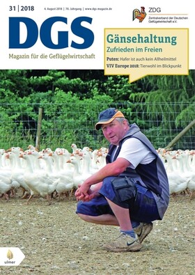 Cover DGS 31/2018