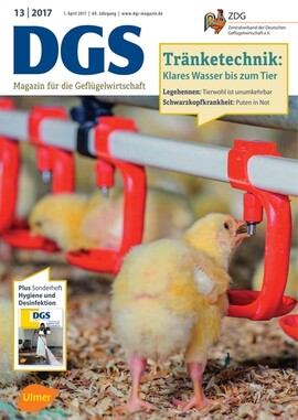 Cover DGS 13/2017