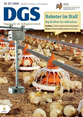 Cover DGS 22/2020