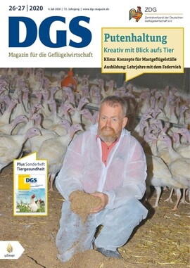 Cover DGS 27/2020