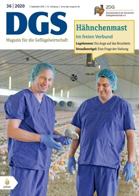 Cover DGS 36/2020