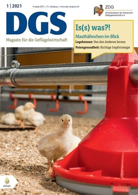 Cover DGS 01/2021