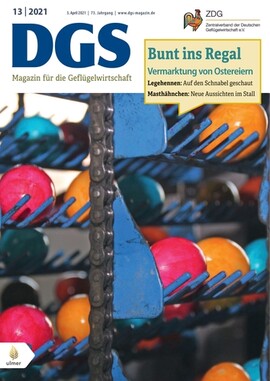 Cover DGS 13/2021