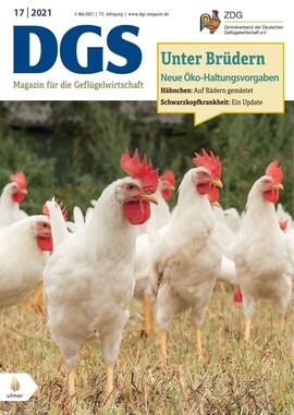 Cover DGS 17/2021
