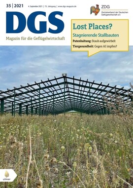 Cover DGS 35/2021