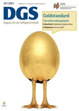 Cover DGS 39/2021
