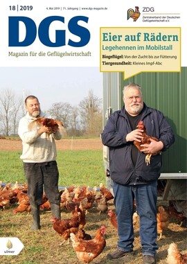 Cover DGS 18/2019