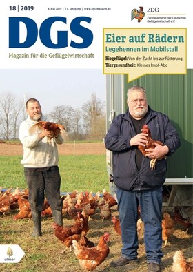Cover DGS 18/2019