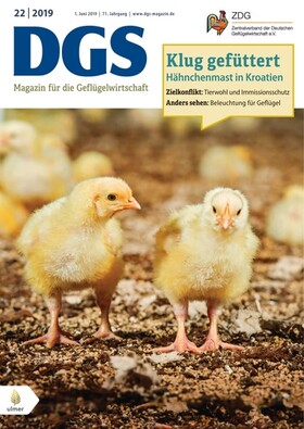 Cover DGS 22/2019