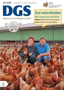 Cover DGS 49/2019