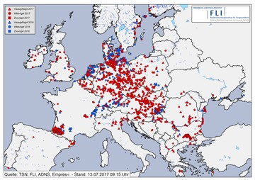  Darstellung der geografischen Lokalisationen aller HPAIV-Ausbrche bei Hausgeflgel
(Dreiecke) und Zoovgeln (Quadrate) und Flle bei Wildvgeln (Punkte) in den Jahren 2016 (blau) und
2017 (rot) in Europa. 