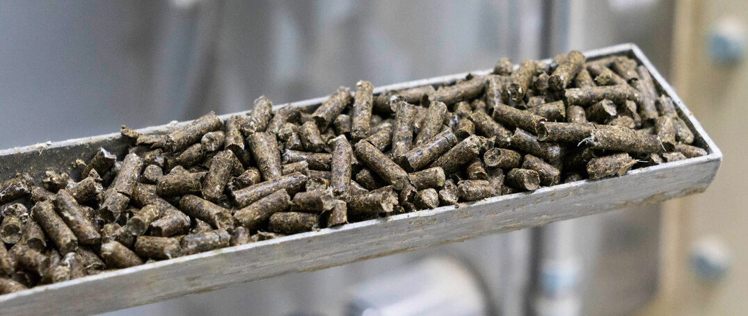 HKT-Pellets