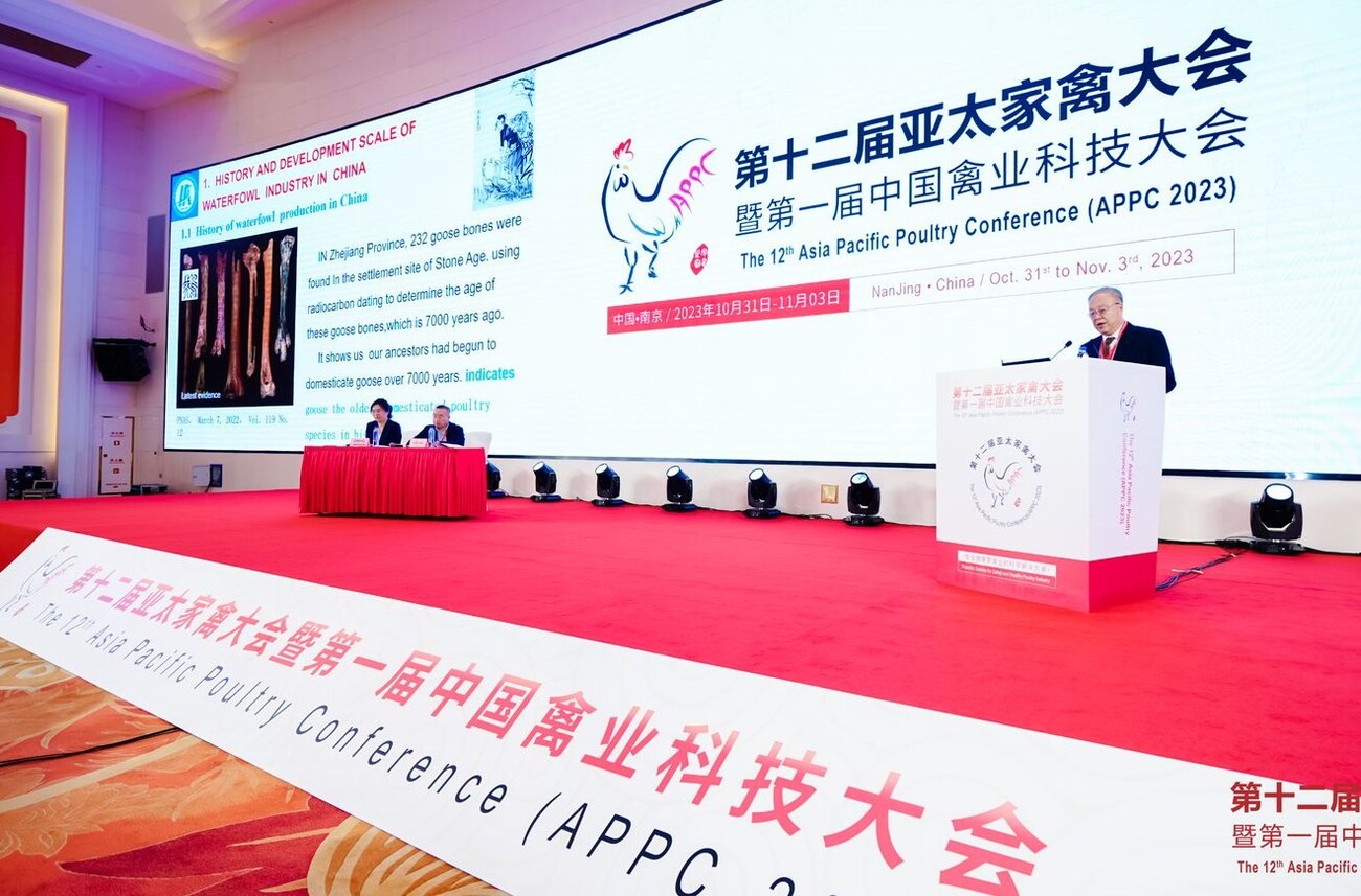 APPC 2023: Rund 1.500 Delegierte trafen sich in China - DGS MAGAZIN