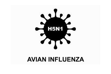 Zwei neue Flle von avirer Influenza H5N1 bei Geflgelmitarbeitern in Grobritannien entdeckt.