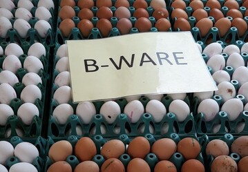 Das Projekt Inwertsetzung Bio-Ei zeigt wie auch nicht vermarktungsfhiger Eier verwertet werden knnen.