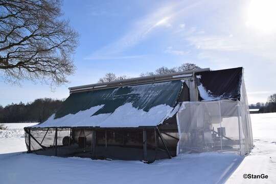 Mobilstall mit Wintergarten whrend der Aufstallungspflicht. 
Ein Zeltvorbau diente hier als bergangsbereich.