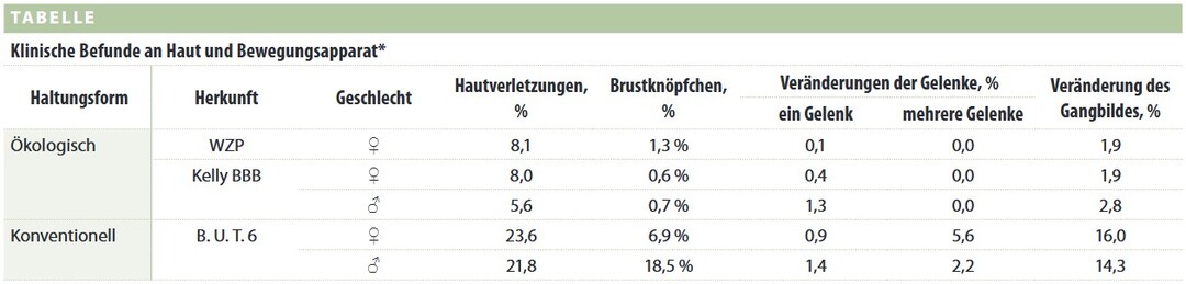   * bei unter konventionellen und kologischen Bedingungen gehaltenen Mastputenherknften in der 16. Lebenswoche.         