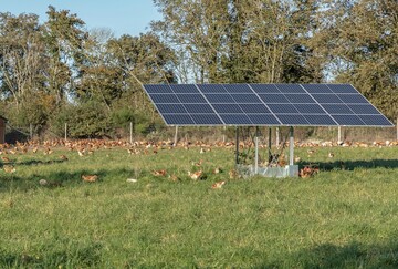 Bei Agri-PV muss differenziert werden zwischen PV-Anlagen mit einer Mindesthhe von 2,10 m, bei denen mit einer hheren Einspeisevergtung zu rechnen sein drfte, und Agri-PV mit einer Mindesthhe von unter 2,10 m, fr die es dann die regulre EEG-Vergtung geben wird.