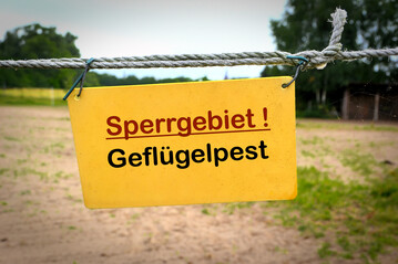 Im Landkreis Tirschenreuth ist in einem Hhnerhaltung in der Stadt Waldsassen die Geflgelpest nachgewiesen worden.