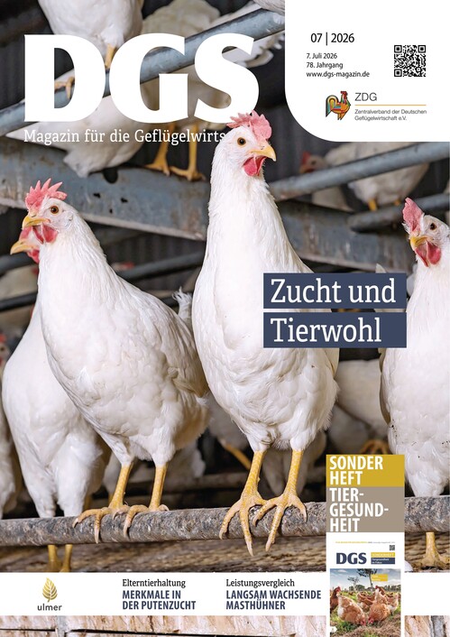 Notierung für deutsche Eier aus Bodenhaltung (KAT) wird umgestellt ...