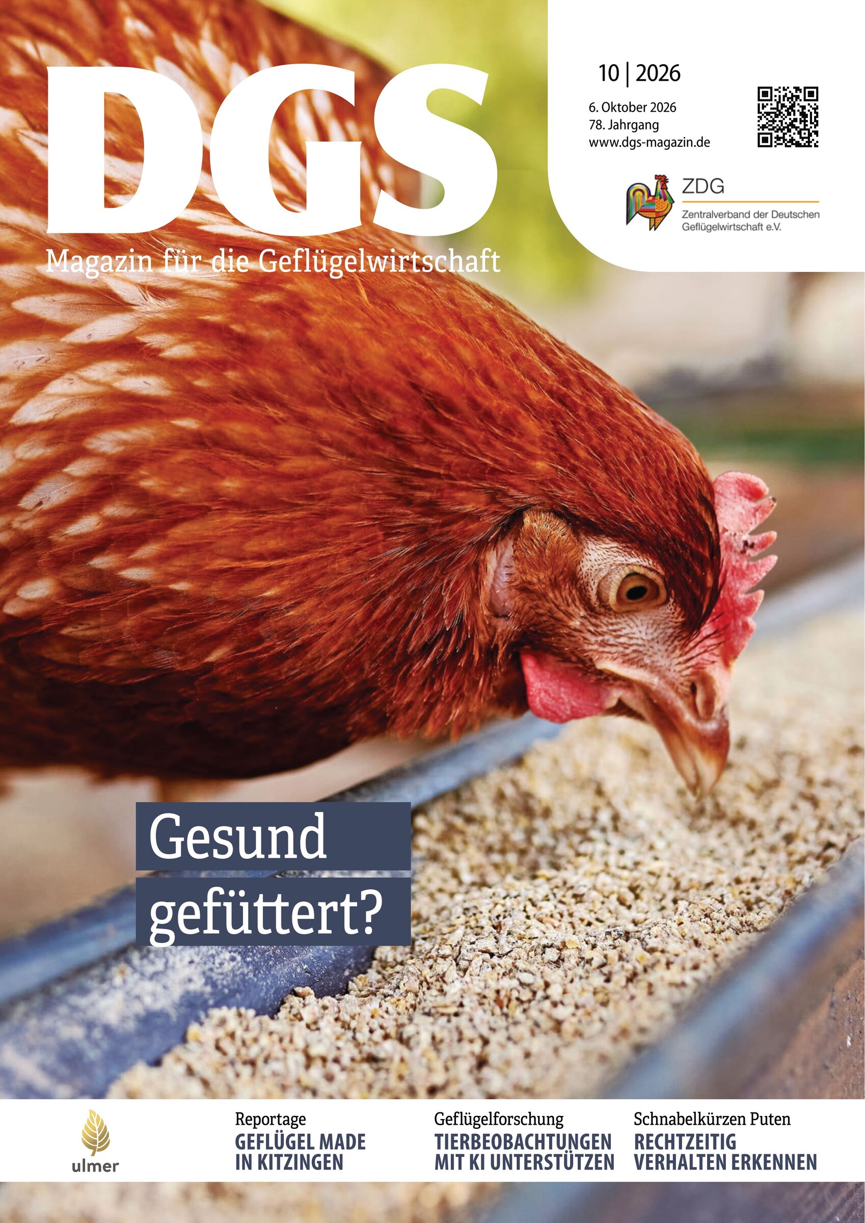 Tausende Hennen bei Stallbrand verendet - DGS MAGAZIN
