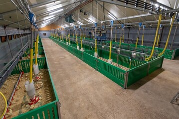 In der Geflgelmast ist Kokzidiose ein Problem. Kokzidiostatika sind jedoch umstritten, weil sie als Antibiotika gelten.